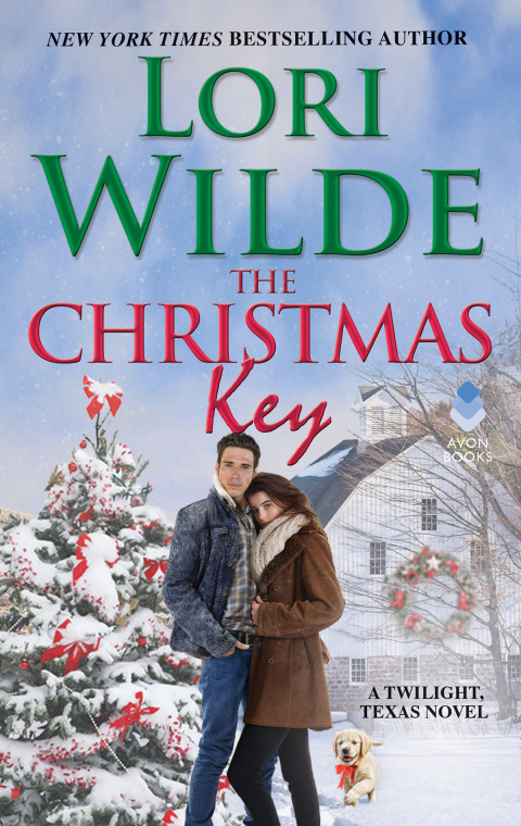 Cover image for book The Christmas Key