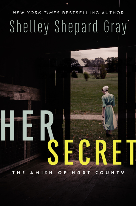 Cover image for book Her Secret