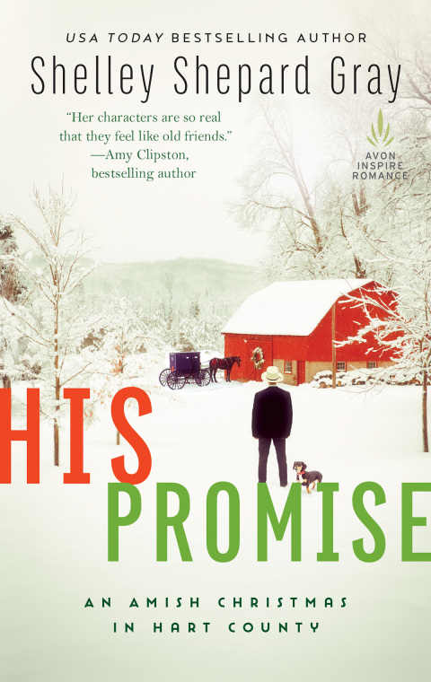 Cover image for book His Promise