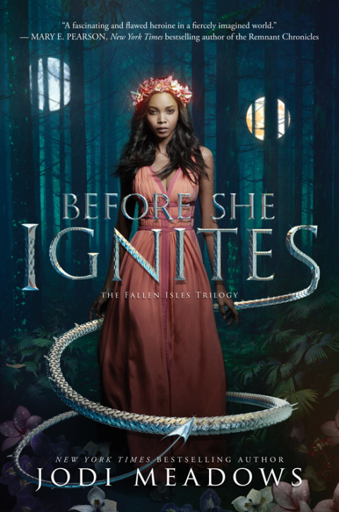 Cover image for book Before She Ignites