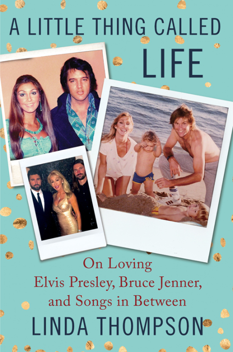 Cover image for book A Little Thing Called Life