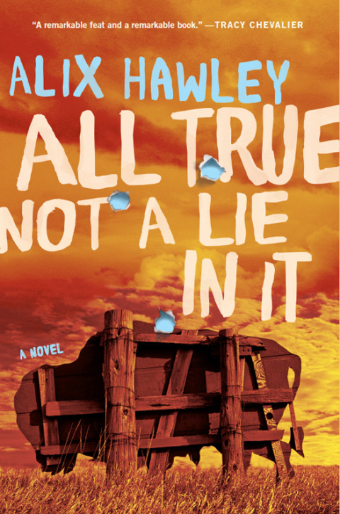 Cover image for book All True Not a Lie in It
