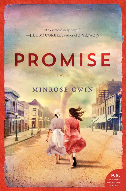 Cover image for book Promise