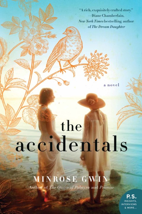 Cover image for book The Accidentals