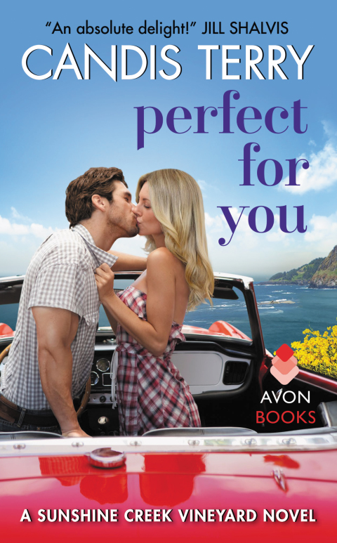 Cover image for book Perfect for You