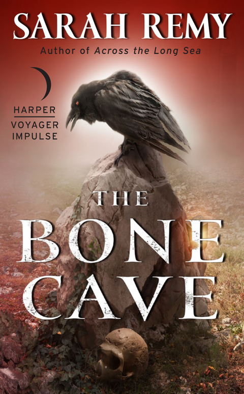 Cover image for book The Bone Cave
