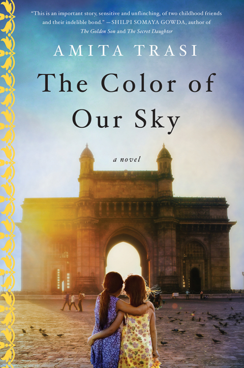 Cover image for book The Color of Our Sky