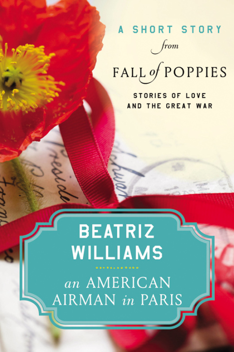 Cover image for book An American Airman in Paris
