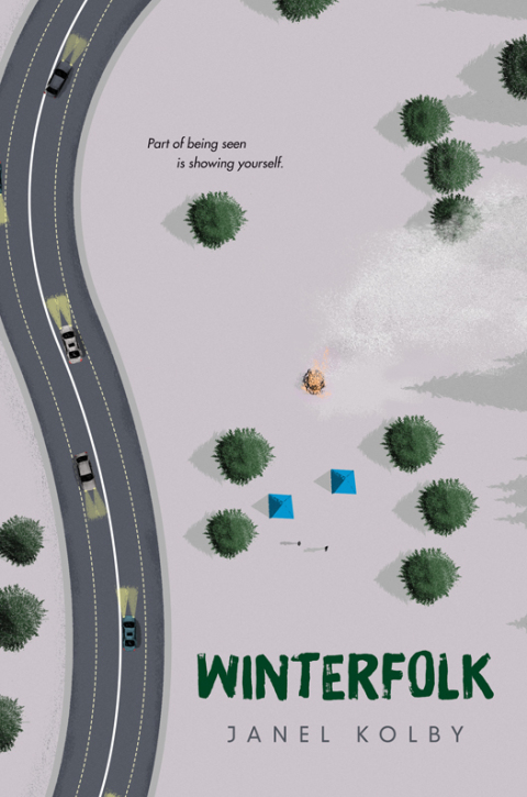 Cover image for book Winterfolk