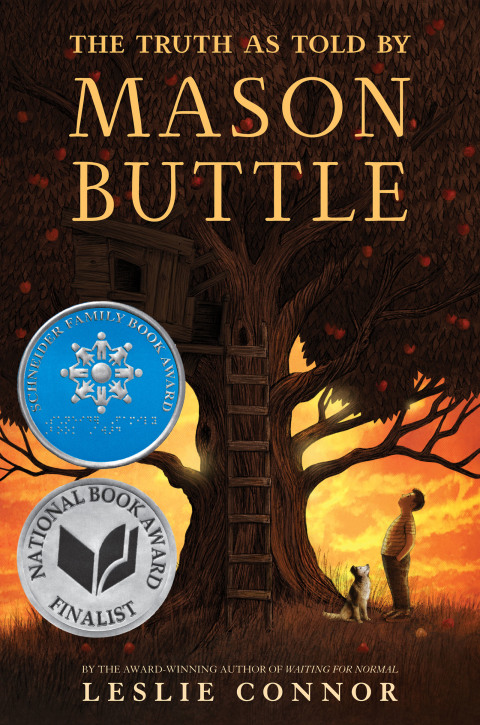 Cover image for book The Truth as Told by Mason Buttle
