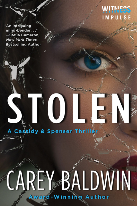 Cover image for book Stolen