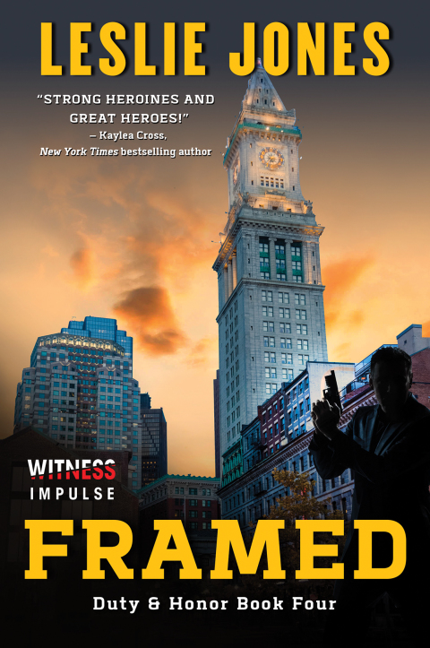 Cover image for book Framed