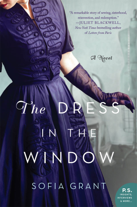 Cover image for book The Dress in the Window