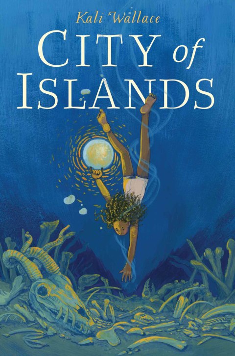 Cover image for book City of Islands