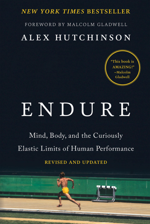 Cover image for book Endure