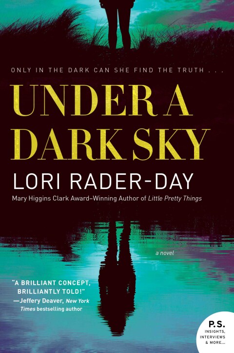 Cover image for book Under a Dark Sky
