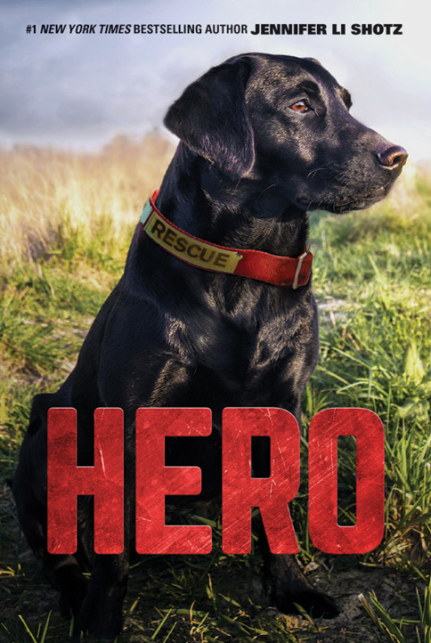 Cover image for book Hero