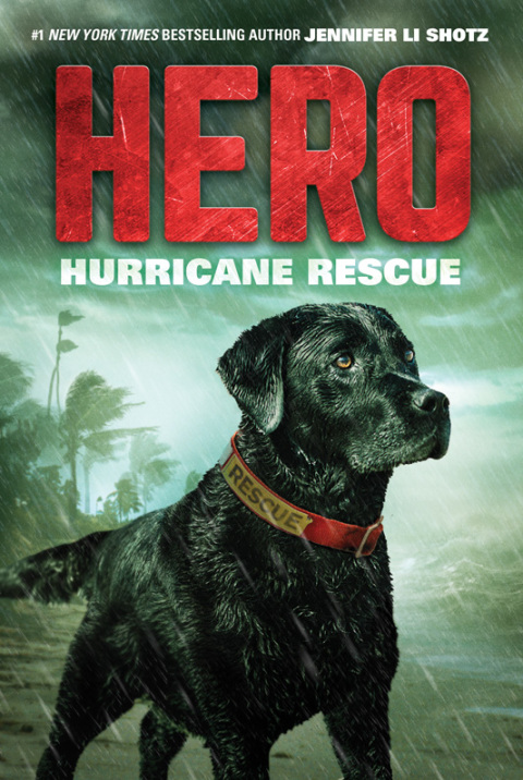 Cover image for book Hero: Hurricane Rescue
