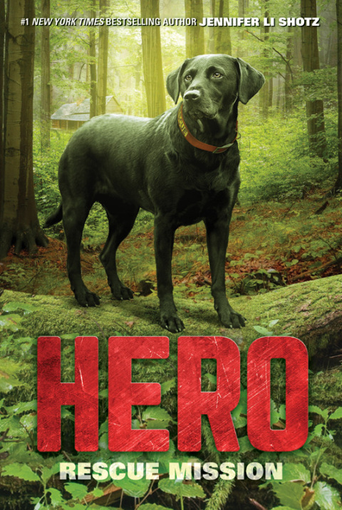Cover image for book Hero: Rescue Mission