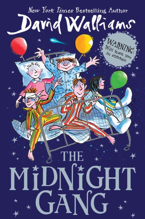 Cover image for book The Midnight Gang