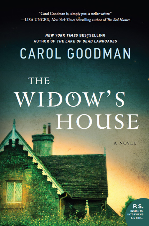 Cover image for book The Widow's House