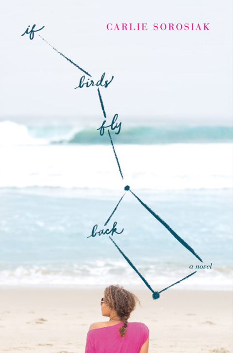 Cover image for book If Birds Fly Back