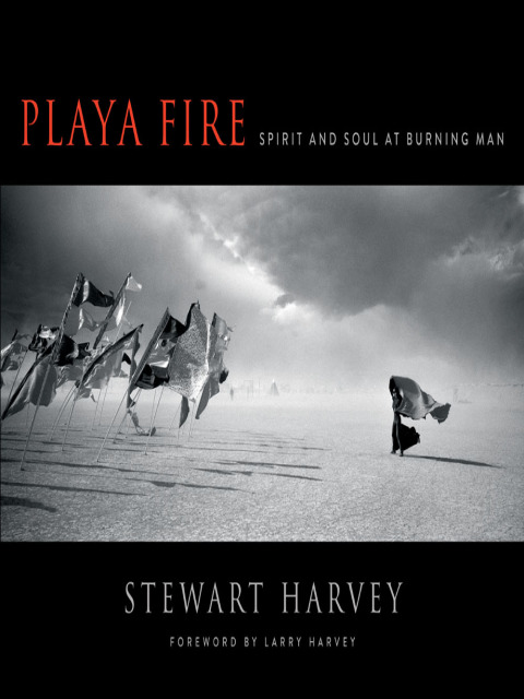 Cover image for book Playa Fire