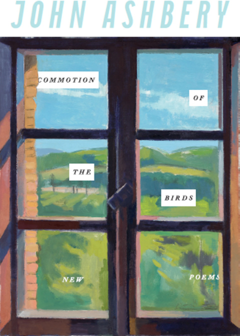 Cover image for book Commotion of the Birds