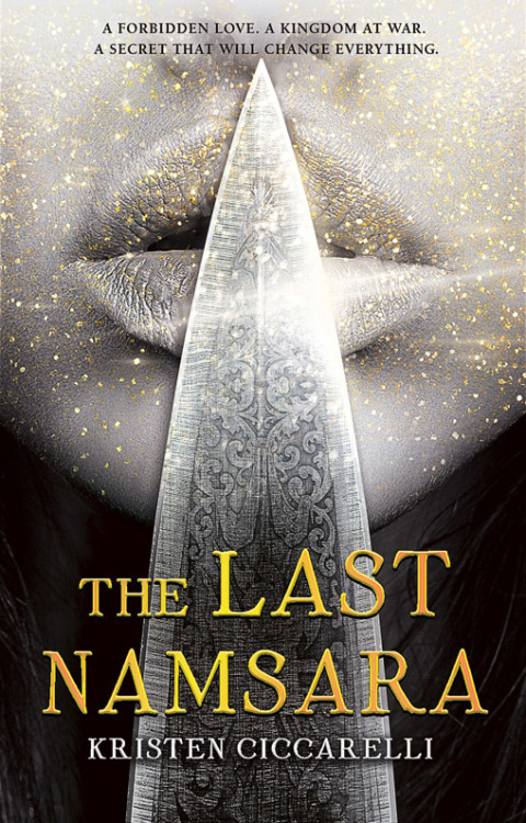 Cover image for book The Last Namsara