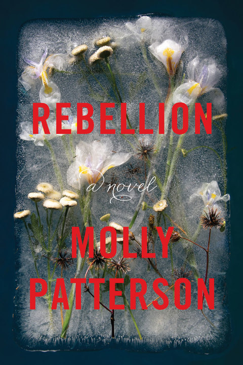 Cover image for book Rebellion