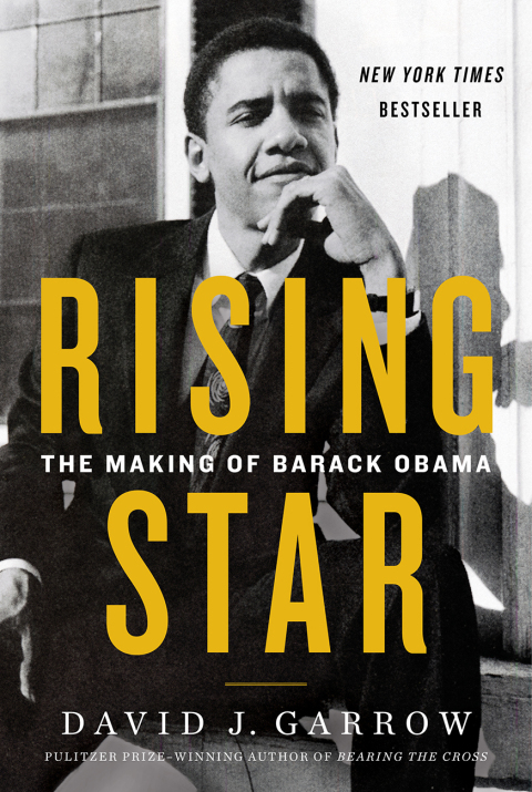 Cover image for book Rising Star