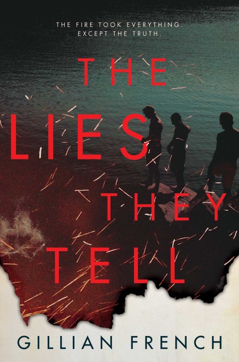 Cover image for book The Lies They Tell