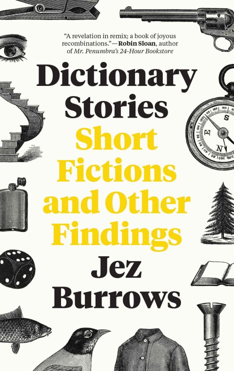 Cover image for book Dictionary Stories