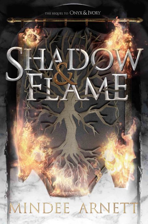 Cover image for book Shadow & Flame