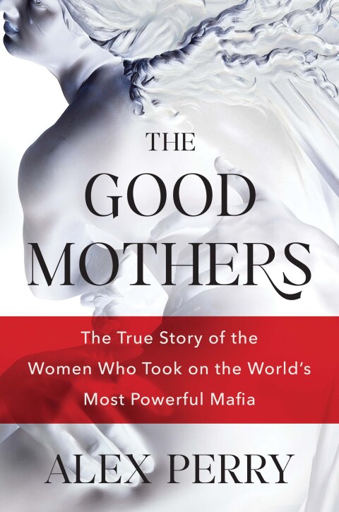 Cover image for book The Good Mothers