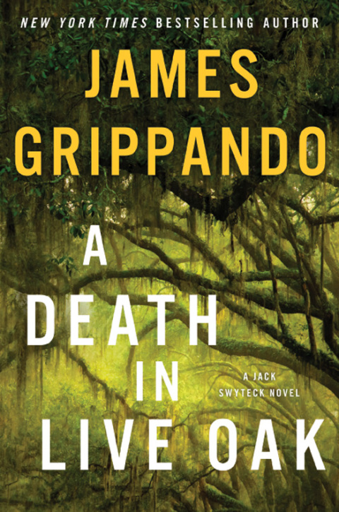 Cover image for book Death in Live Oak, A