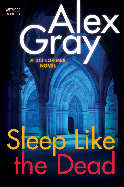 Cover image for book Sleep Like the Dead