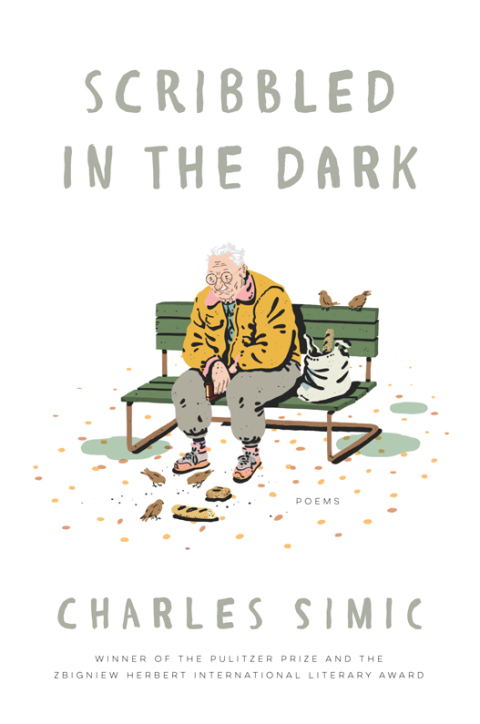 Cover image for book Scribbled in the Dark
