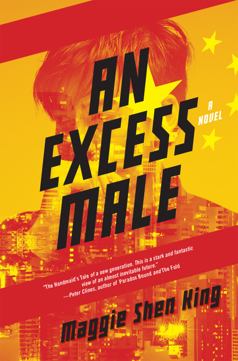 Cover image for book An Excess Male