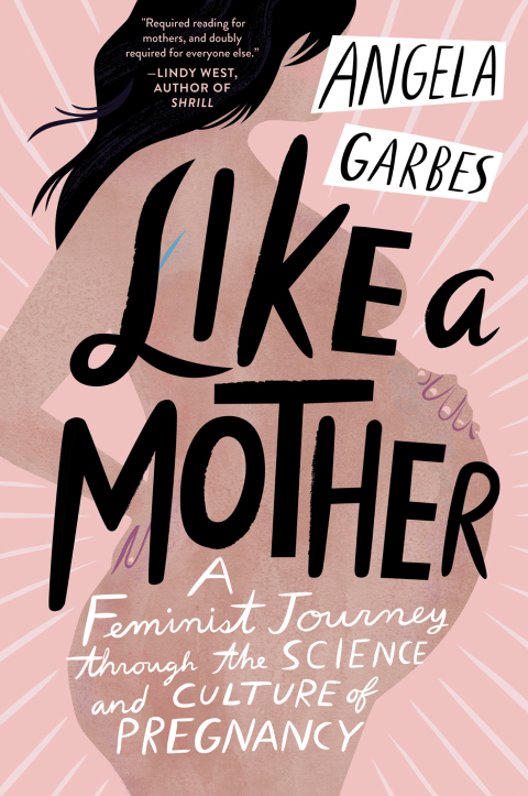 Cover image for book Like a Mother
