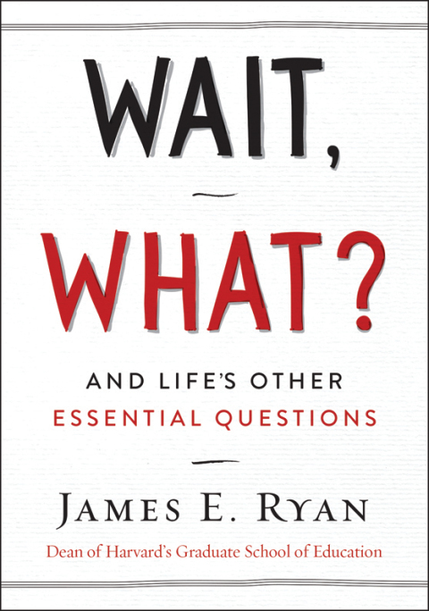 Cover image for book Wait, What?