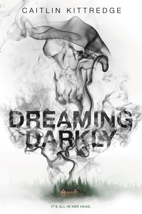 Cover image for book Dreaming Darkly
