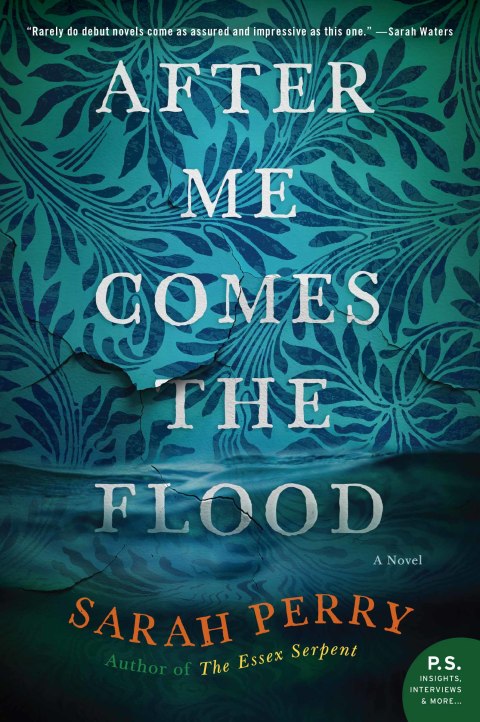 Cover image for book After Me Comes the Flood
