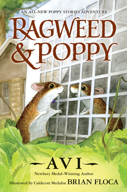 Cover image for book Ragweed and Poppy