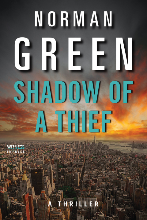 Cover image for book Shadow of a Thief