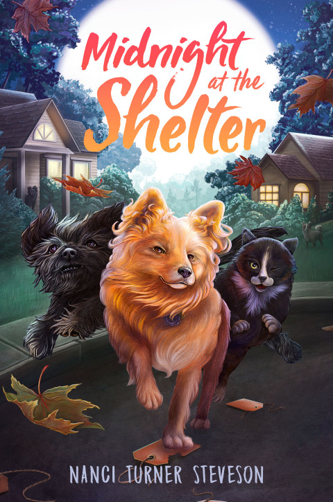 Cover image for book Midnight at the Shelter