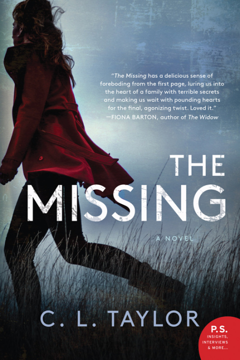 Cover image for book The Missing