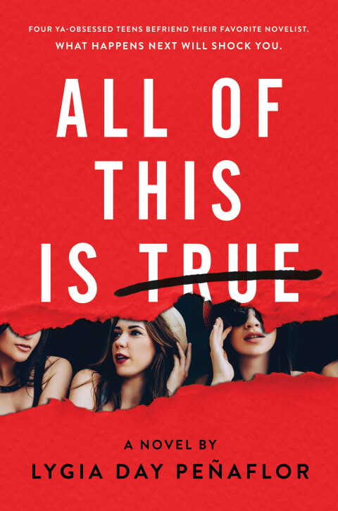 Cover image for book All of This Is True: A Novel