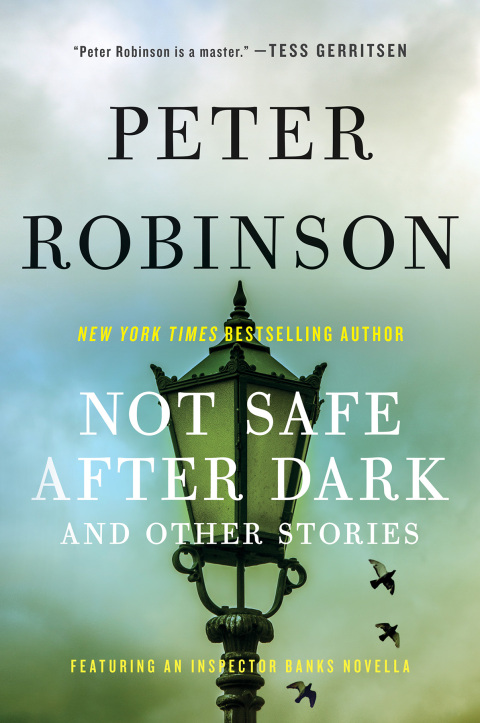 Cover image for book Not Safe After Dark