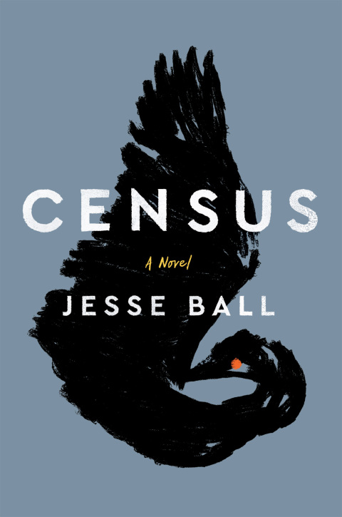 Cover image for book Census
